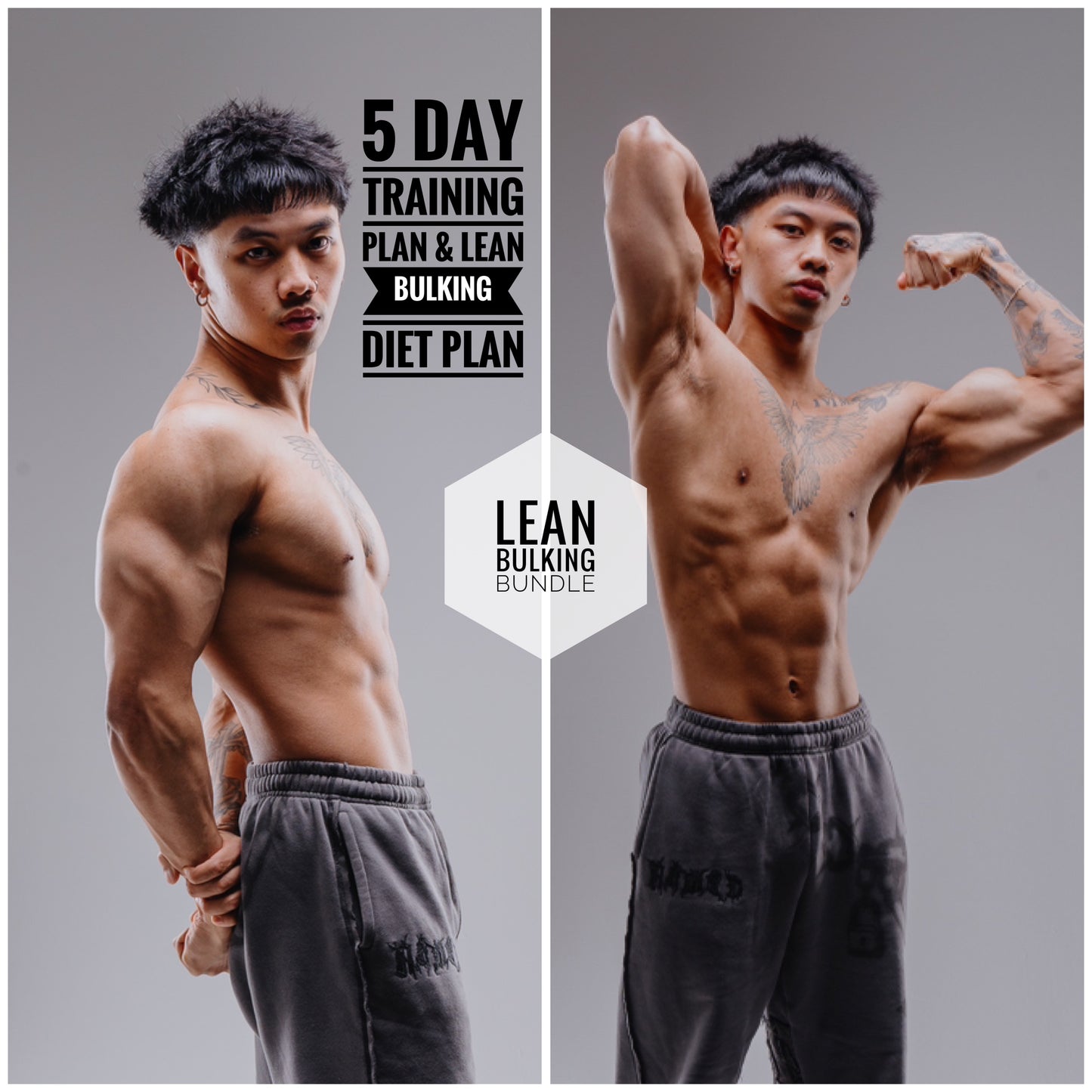 Bulking Bundle (5 Day New Training Plan/Lean Bulk Diet Plan) - Updated October 2024