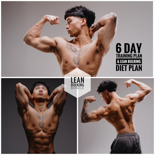 Bulking Bundle (My Exact 6 Day Training Plan/Lean Bulking Diet Plan)