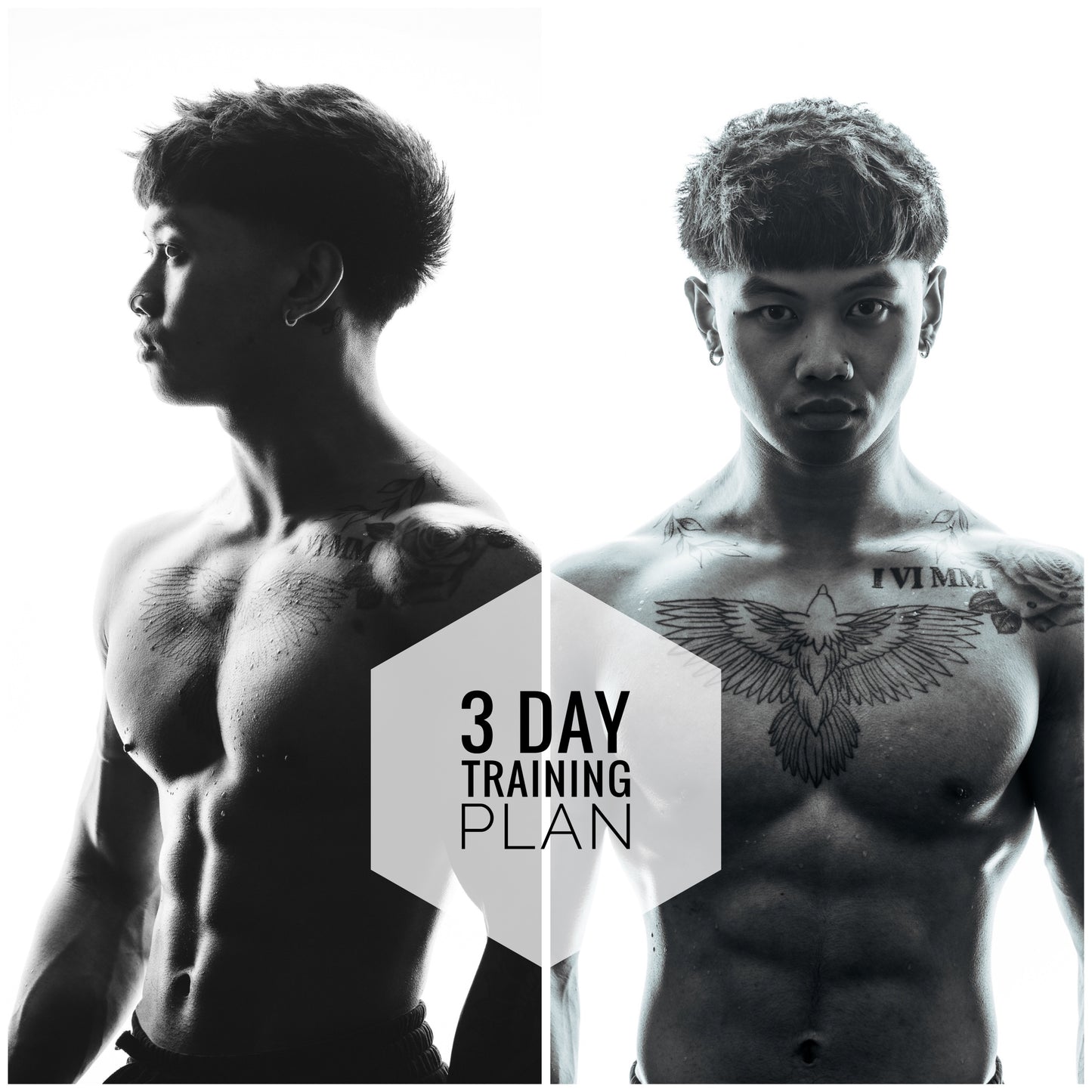 My 3 Day Training Plan (Aesthetics)