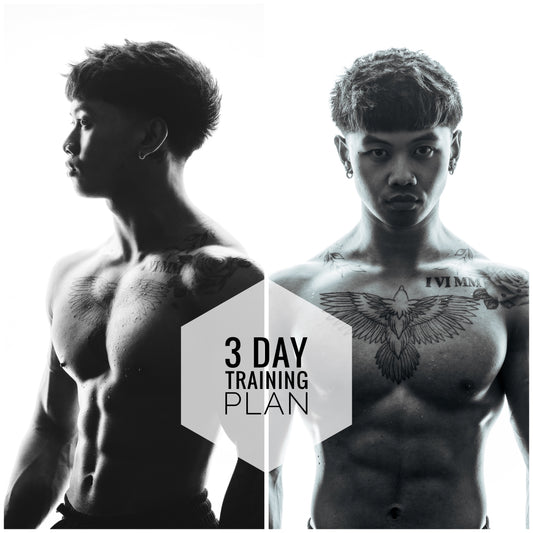 My 3 Day Training Plan (Aesthetics)