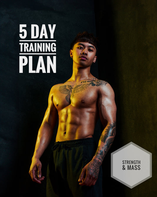 My NEW 5 day training plan (Strength/Muscle Gain) - Updated October 2024