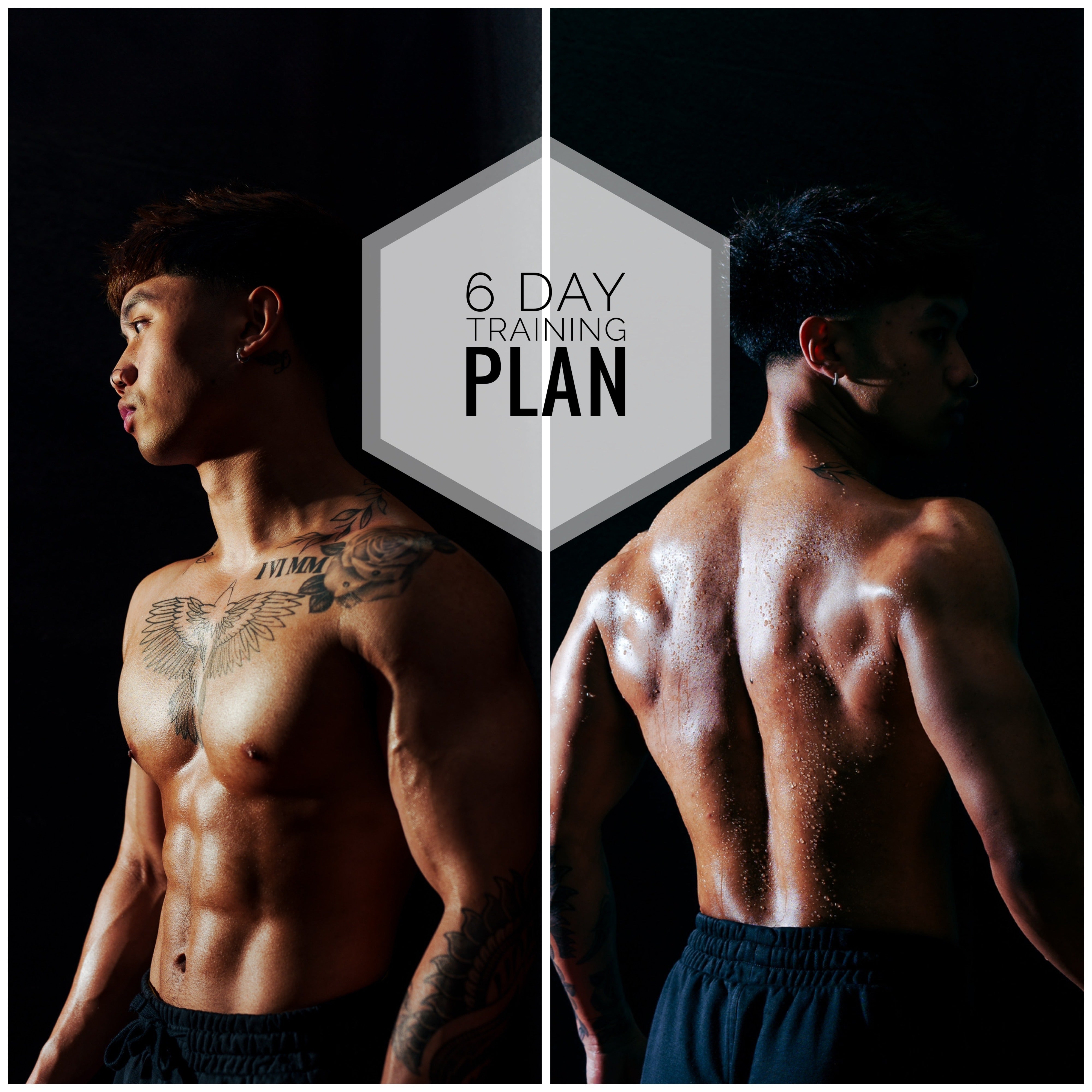 6 day muscle building best sale workout plan